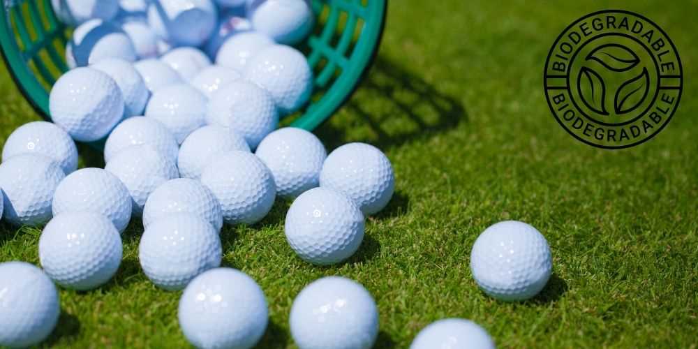 Leading Brands and Their Offerings