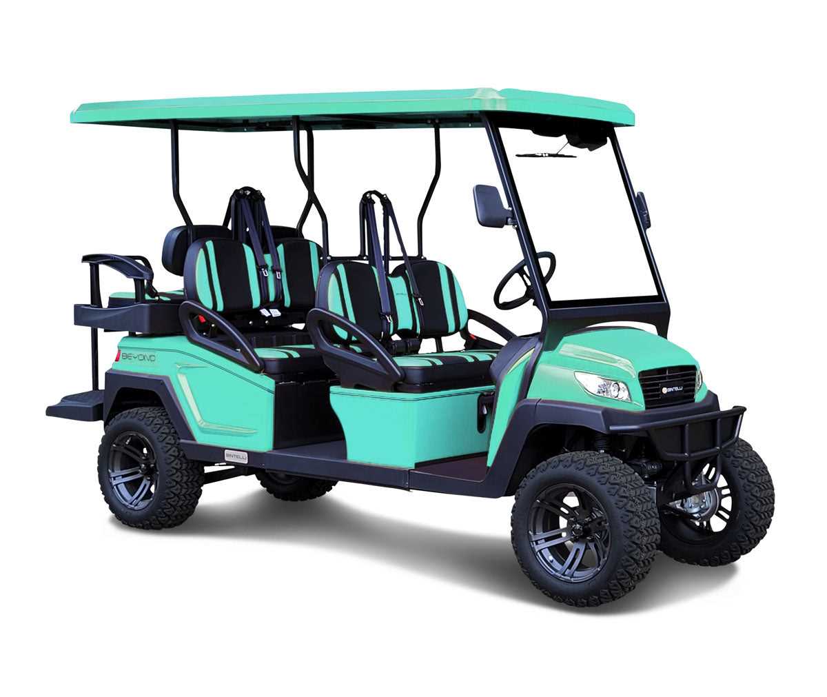Best 6 person golf cart