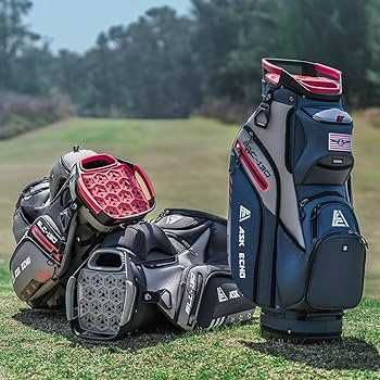 Best cheap golf cart bag