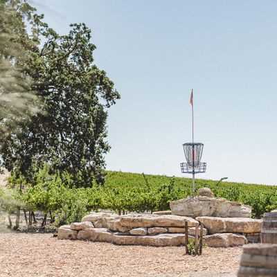 Best disc golf courses in california