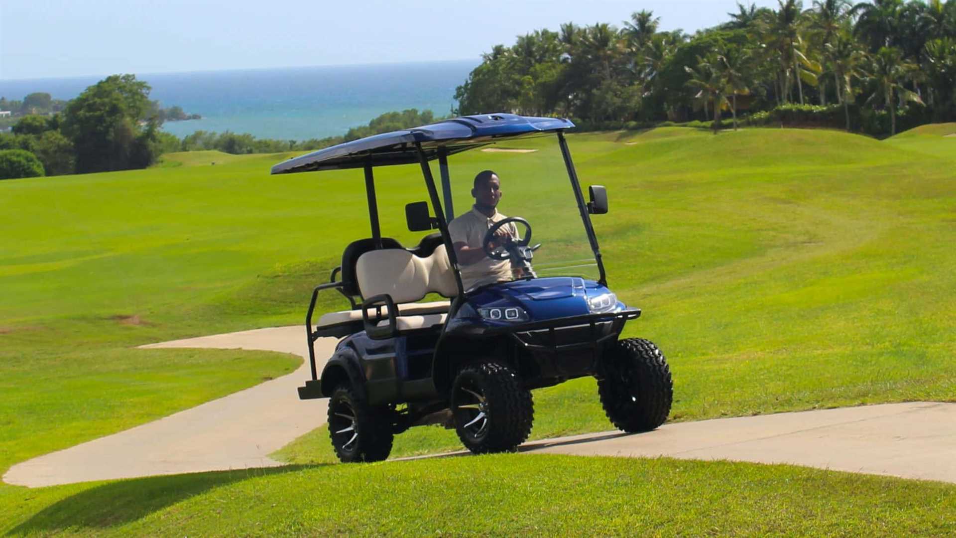 Best gas powered golf carts