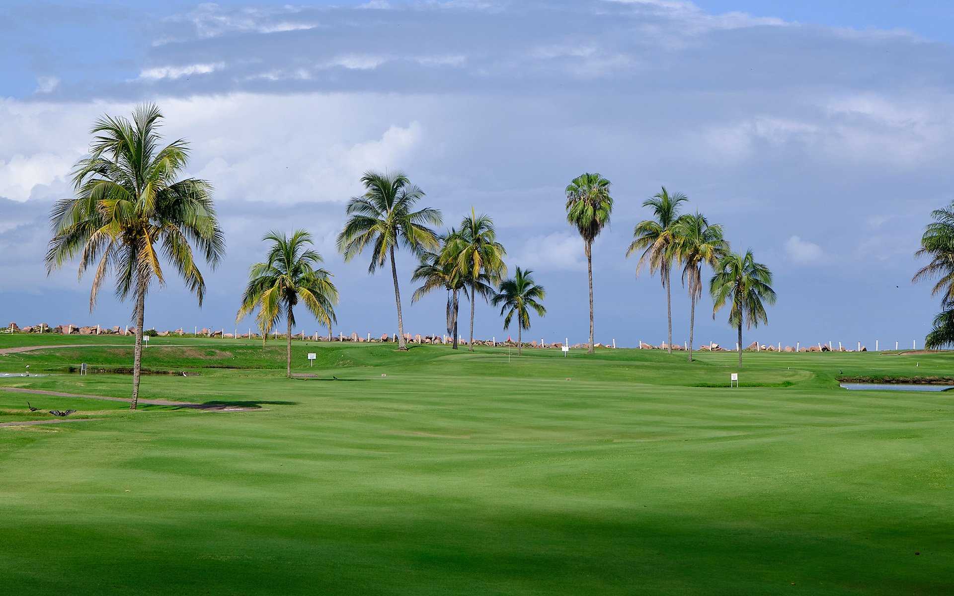 Best golf course in puerto vallarta