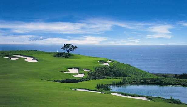 Best golf course photos