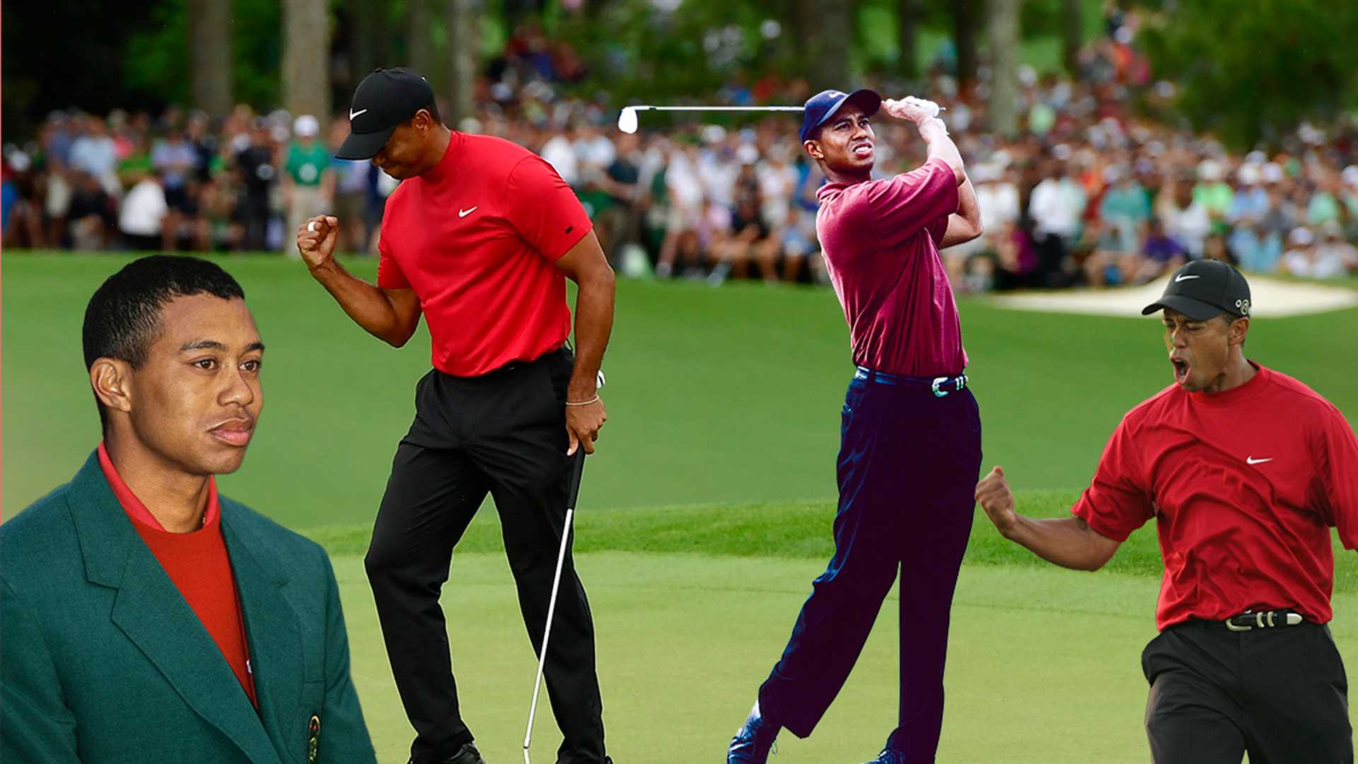 Best golf shot ever tiger woods