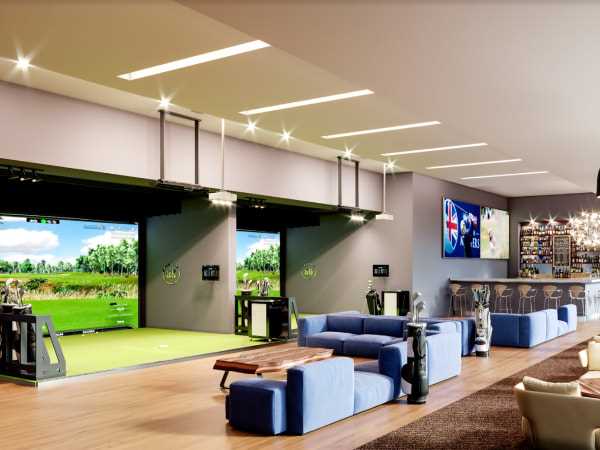 Best golf simulator for business