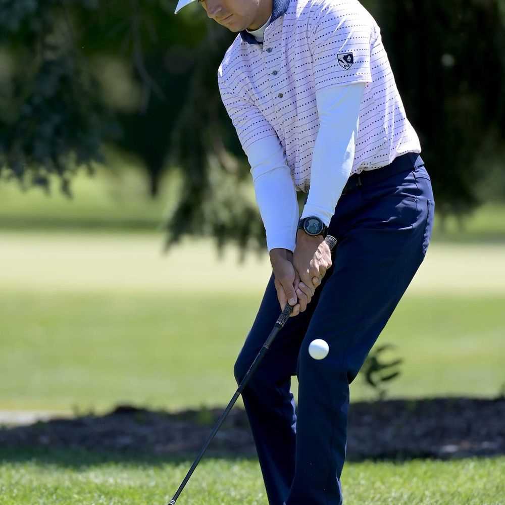 Best golf teachers in illinois