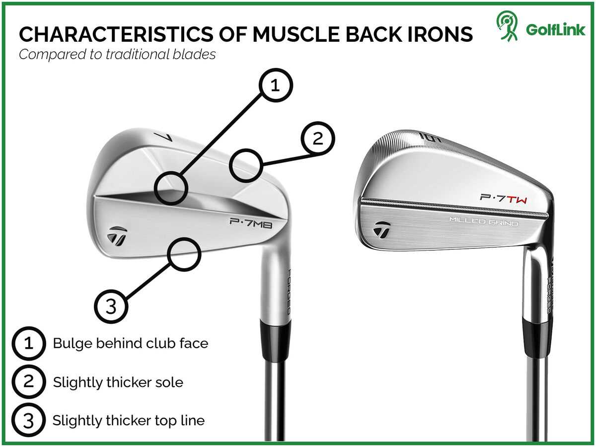 Best muscle back golf irons