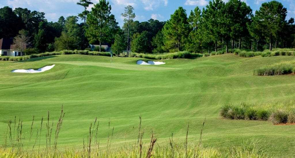 Best public golf courses in bluffton sc