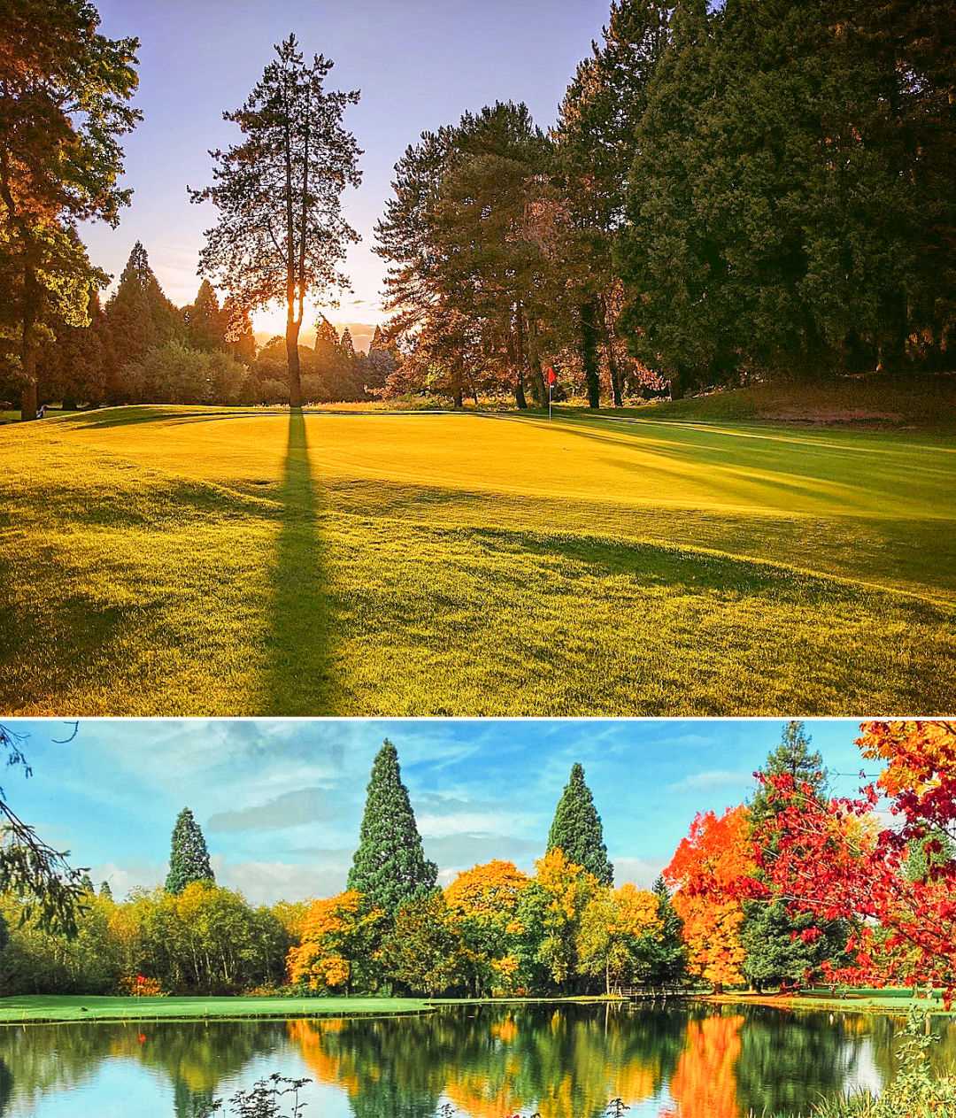 Best public golf courses in portland oregon