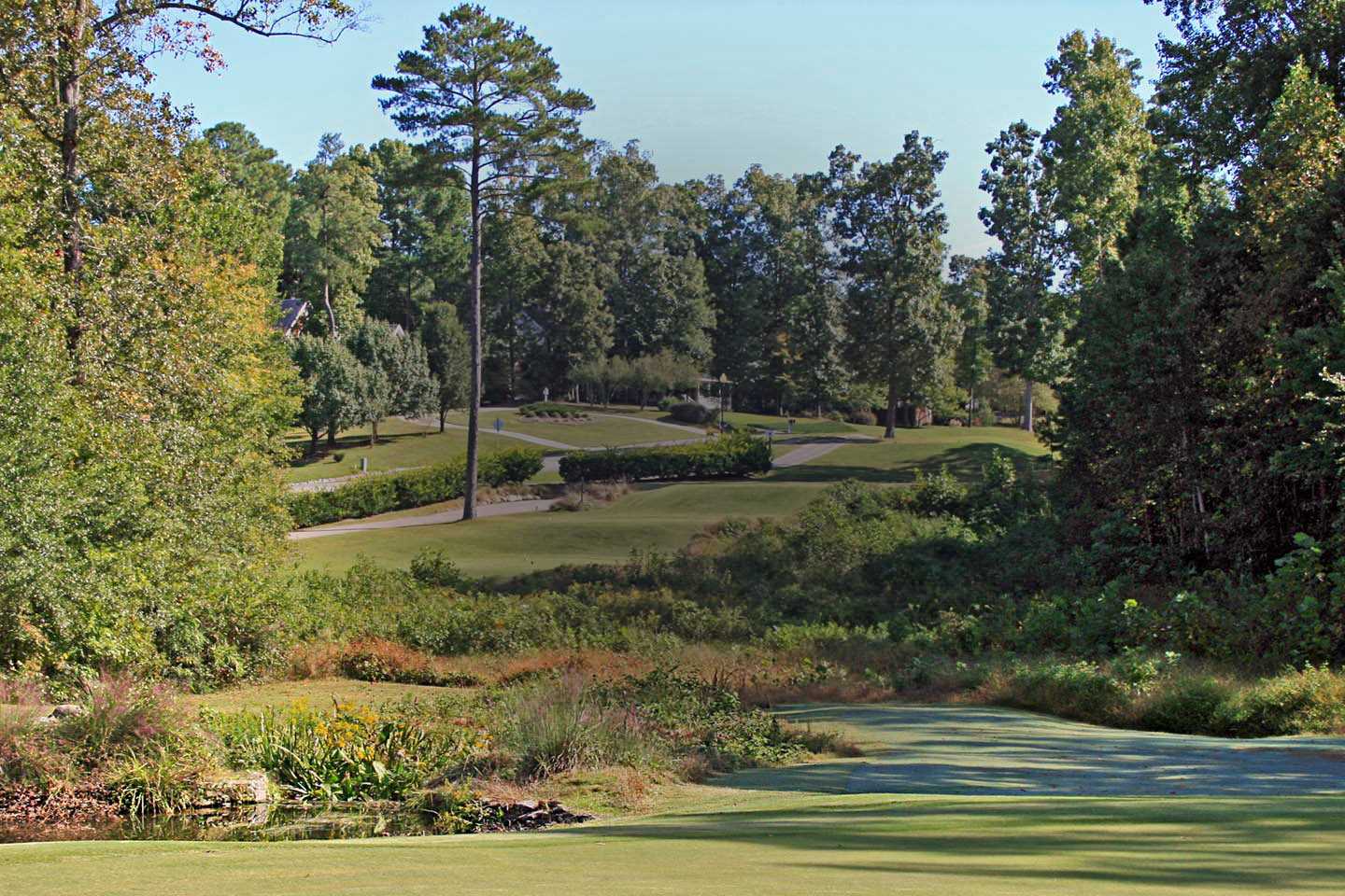 Best public golf courses near raleigh nc