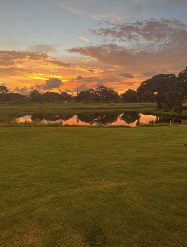 Best public golf courses near sarasota fl