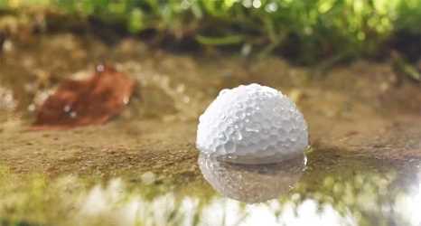 Options for Dealing with Waterlogged Golf Balls