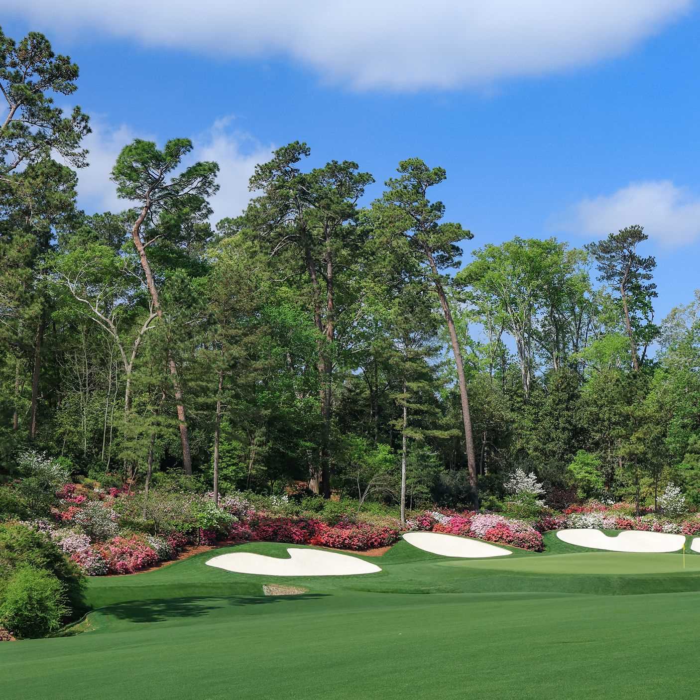 Clubhouse Experience