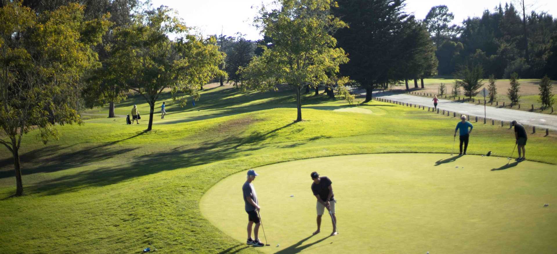 De la Vega Golf Insights