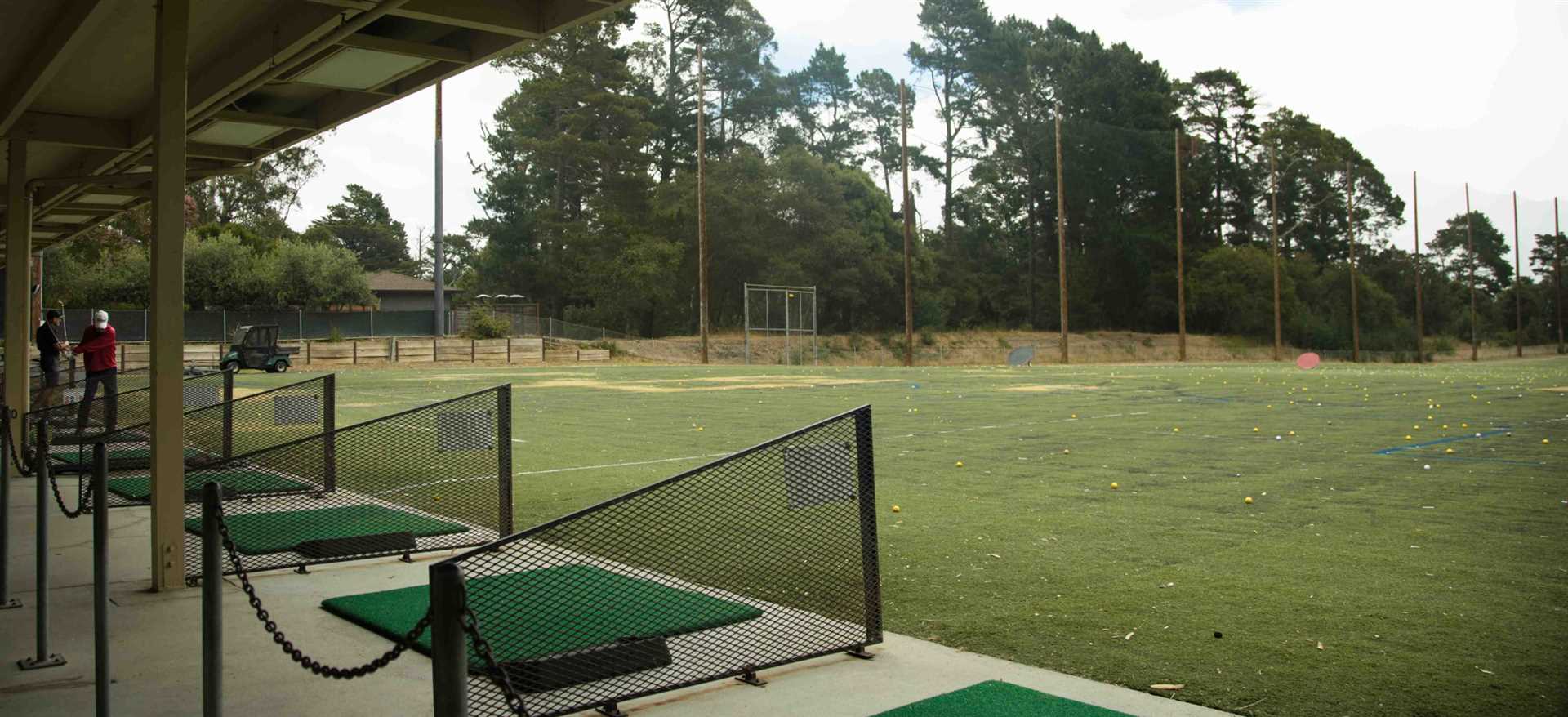 Exploring Membership Benefits and Options