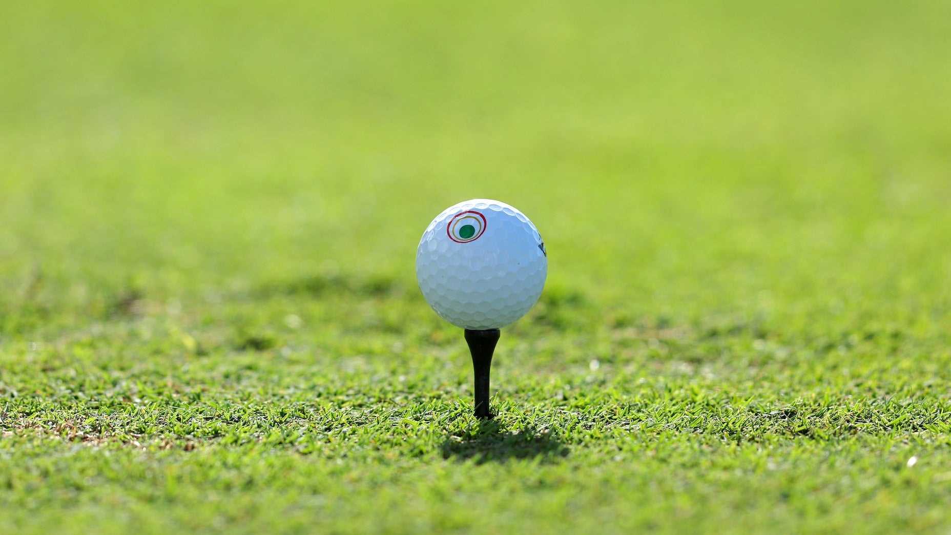 Proper Storage Techniques