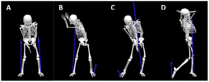 Protraction and Retraction